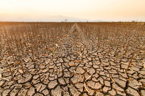 Climate Preservation Awareness & Training